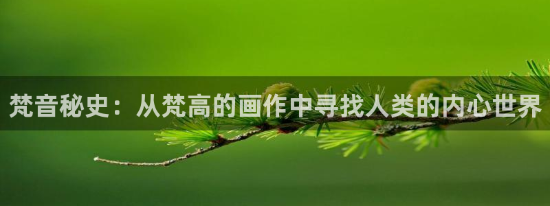 tf三代小说话本小说网：梵音秘史：从梵高的画作中寻找人类的内心世界