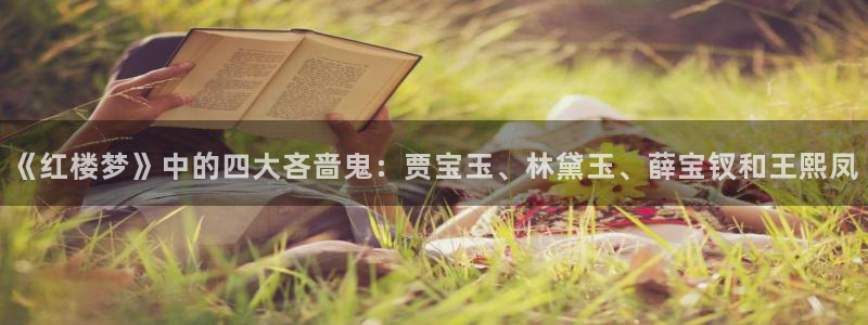 严厉哥哥话本小说网：《红楼梦》中的四大吝啬鬼：贾宝玉、林黛玉、薛宝钗和王熙凤