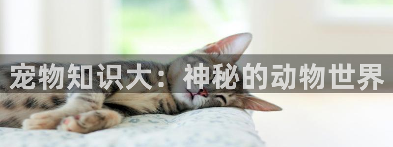 旧版话本小说：宠物知识大：神秘的动物世界