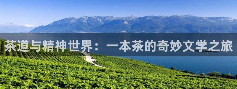 民国话本小说：茶道与精神世界：一本茶的奇妙文学之旅