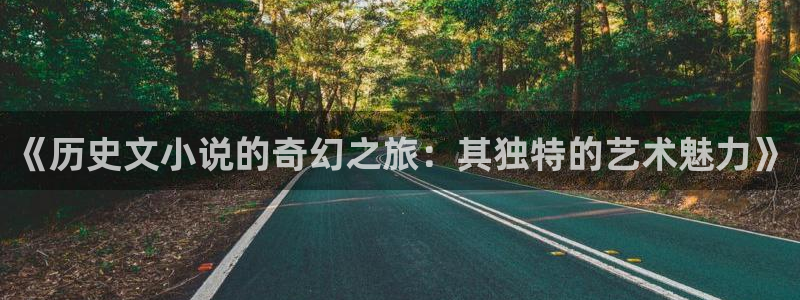 话本小说网：《历史文小说的奇幻之旅：其独特的艺术魅力》