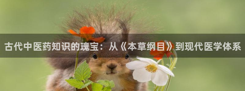 查理九世小说话本小说：古代中医药知识的瑰宝：从《本草纲目》到现代医学体系